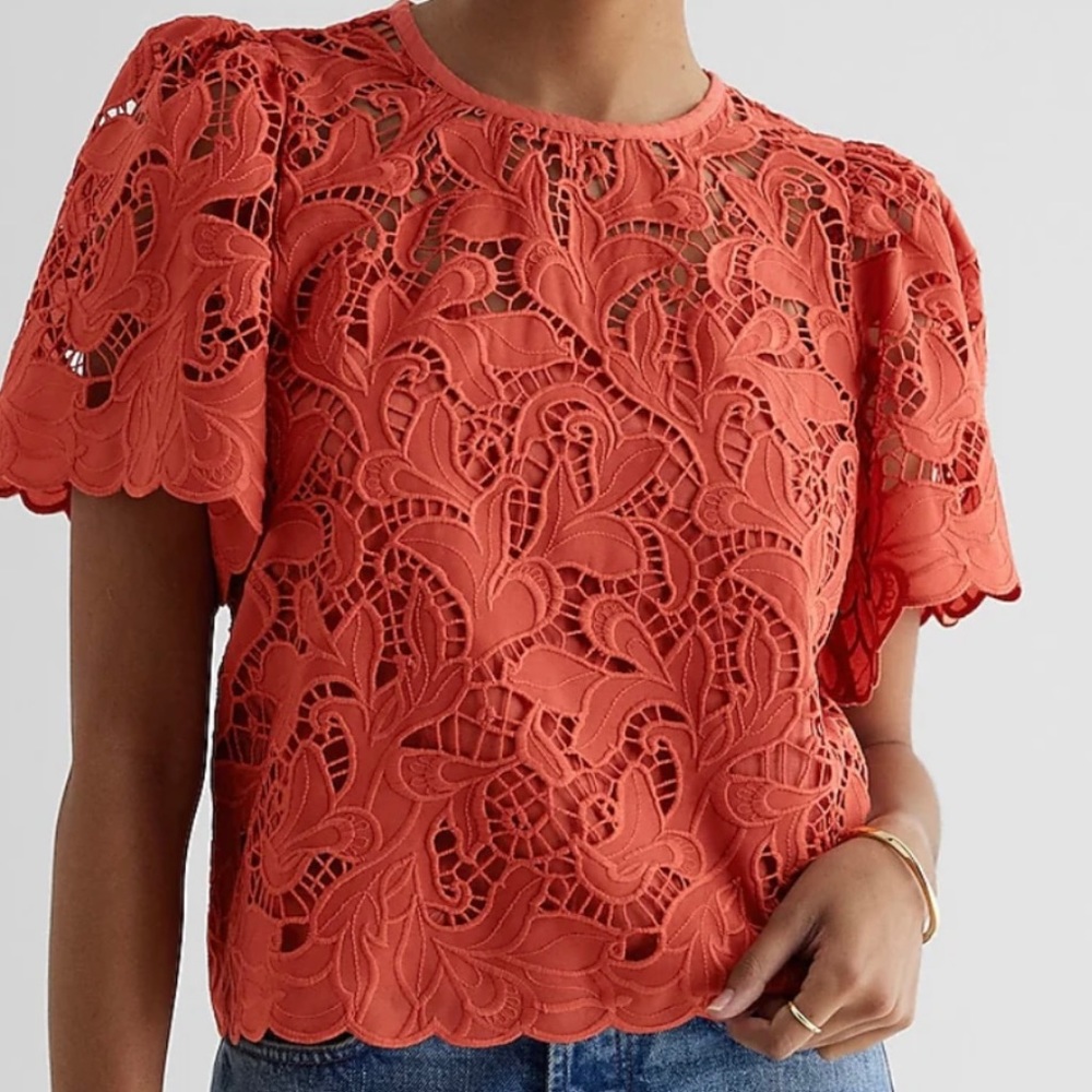 Express Embroidered crochet puff sleeve top